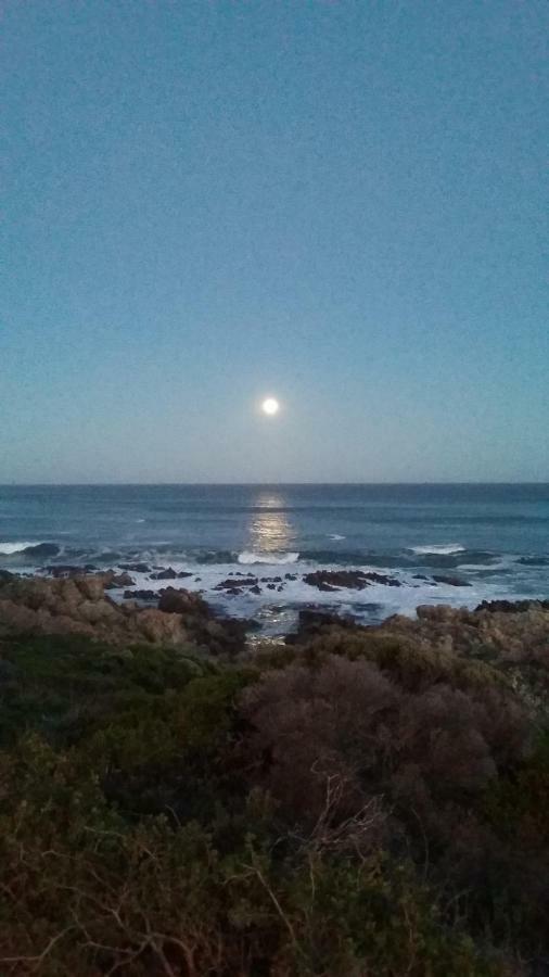 Wave Dancer Bed and Breakfast Gansbaai Exteriör bild
