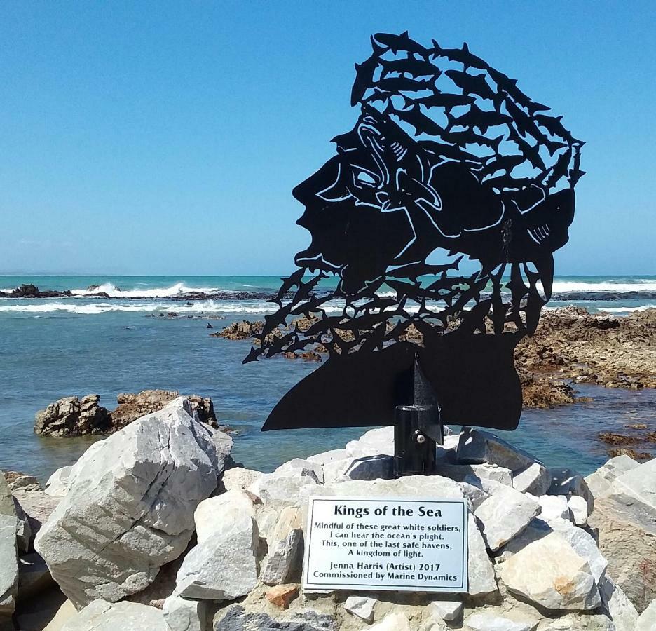 Wave Dancer Bed and Breakfast Gansbaai Exteriör bild